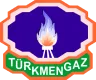 TurkmenGaz logo